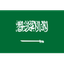 السعودية logo