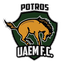 Potros Uaem logo