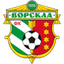 Vorskla U19 logo