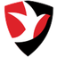 تشيلتنهام تاون logo