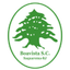 بوافيستا logo