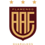 فلامنغو ساو باولو logo