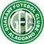 غواراني ألاغانو  logo