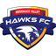 شعار ميريميك فالي هوكس