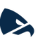 Charlotte Eagles W logo