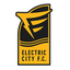 إليكتريك سيتي شوك logo
