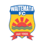 Waitemata AFC logo
