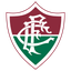 فلومينينسي  عامًا logo