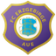 Erzgebirge Aue U19 logo