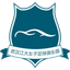 Wuhan Jiangda W logo