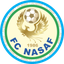 ناساف logo