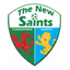 The New Saints U19 logo