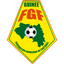 غينيا فوت إيليت logo