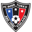 تورون إنتو logo