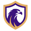 فالكون  logo