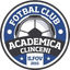 FC Clinceni logo
