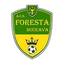 ACS Foresta Suceava logo