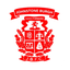 جونستون بورغ logo