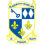 Blaenavon Blues logo