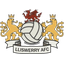 ليسويري logo