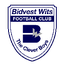 Bidvest Wits