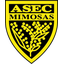 ASEC Mimosas W logo