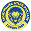 أطلس باياد logo