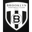 Brooklyn logo