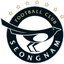 Seongnam FC logo