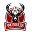 Pobeda Nizhniy Novgorod logo