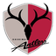 Kashima logo