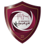 Al-Draih FC