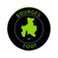 Bourges Foot