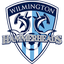 Wilmington Hammerheads logo