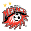 ديس موينز مينيس logo
