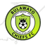 Bulawayo Chiefs