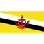بروناي logo