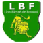 Lion Blessé