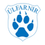 أولفارنين logo