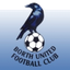 Borth United logo