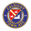 Caldicot Town logo
