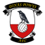 ديناس بوويس logo