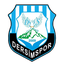 درسيم سبور logo
