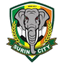 Surin logo