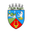 CSM Lugoj logo