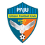Paju Citizen logo