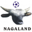 ناجالاند logo
