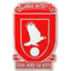 Llanrug United logo