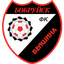 Belshina II logo
