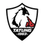 Tatung logo